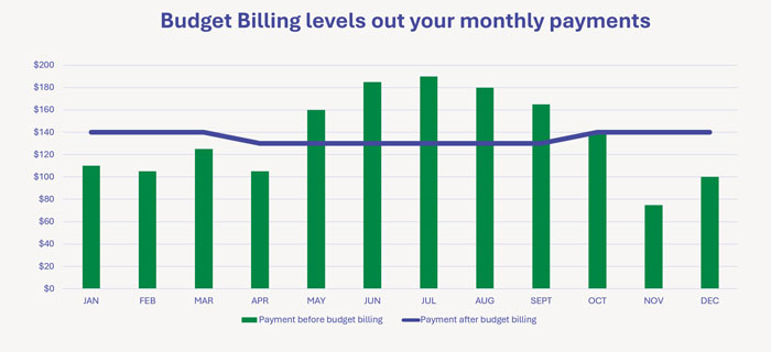 Budget Billing Graph Budget Billing Graph